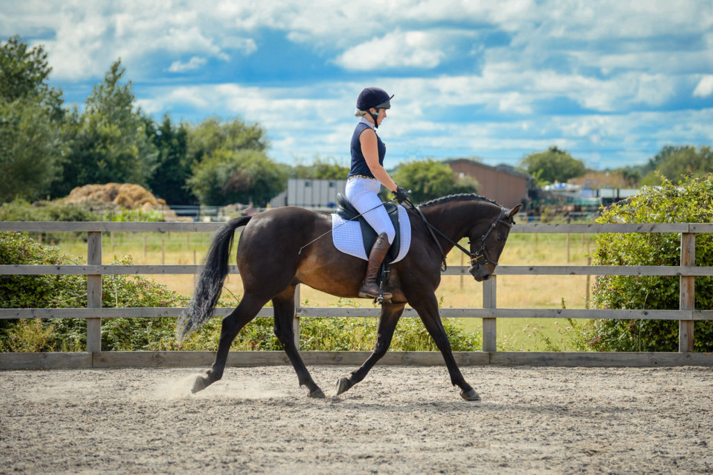 Hannah T and P - Dressage - 1